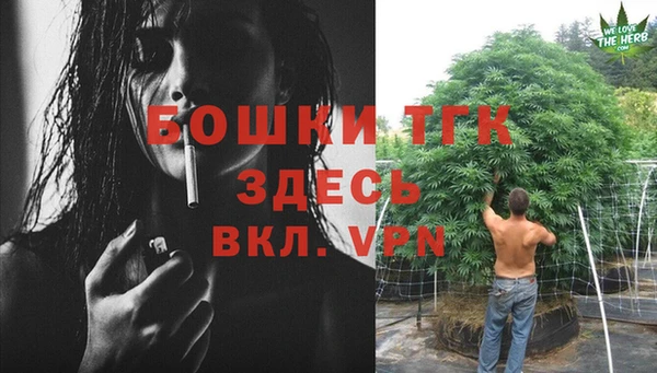 эйфоретик Каменногорск