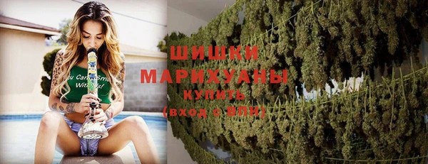 прущая мука Каменка
