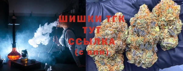стафф Каменск-Шахтинский