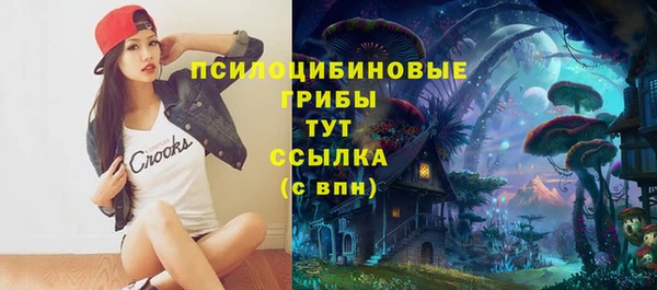 эйфоретик Каменногорск