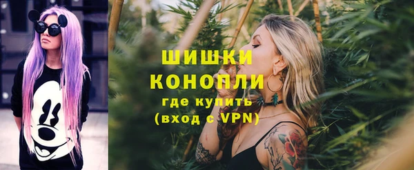 прущая мука Каменка