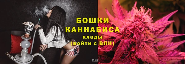 эйфоретик Каменногорск