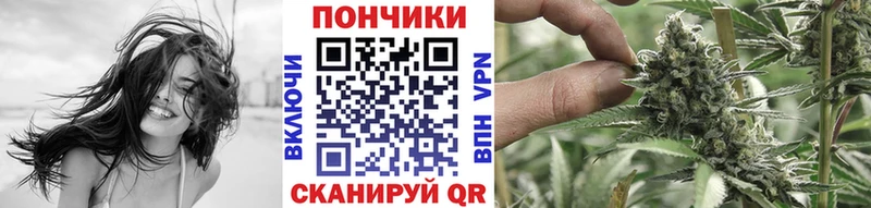 Купить где  Лакинск  Канабис конопля 